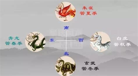 風水 左青龍|左青龍右白虎：一招教你學會風水中的“四靈山訣”